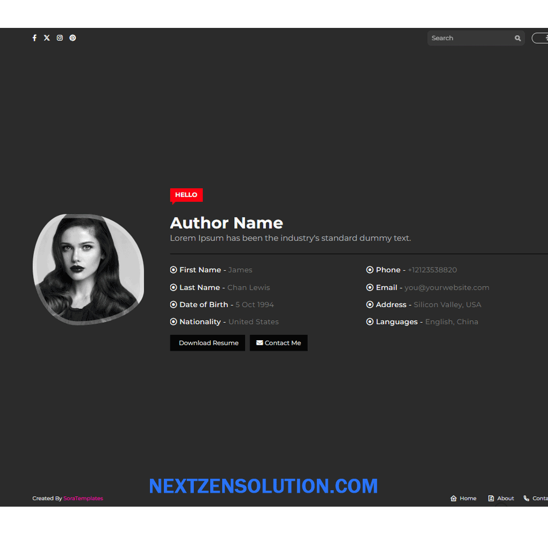 Magic CV Blogger Template