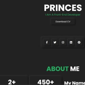 Pro Portfolio Template